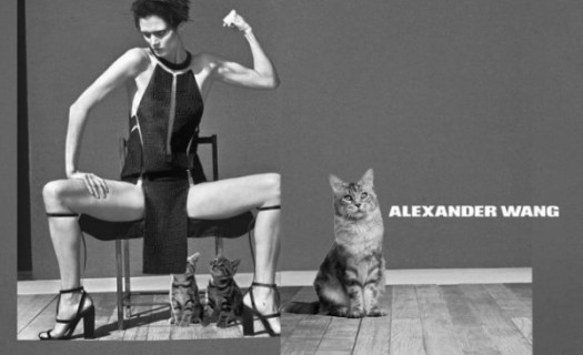 Snapshot-2013-02-04-12-22-30-e1359998965751